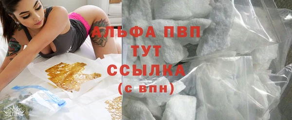 гашик Вязьма