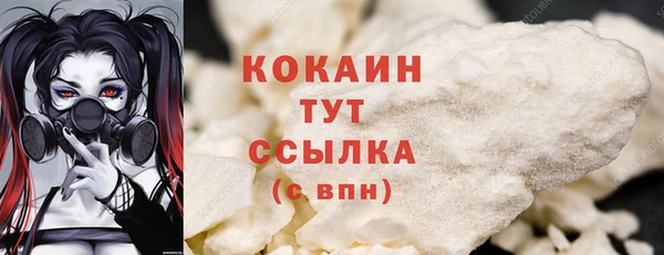 гашик Вязьма