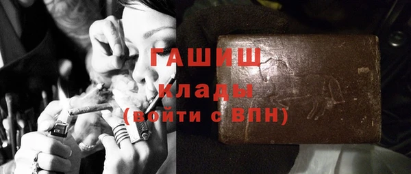 гашик Вязьма