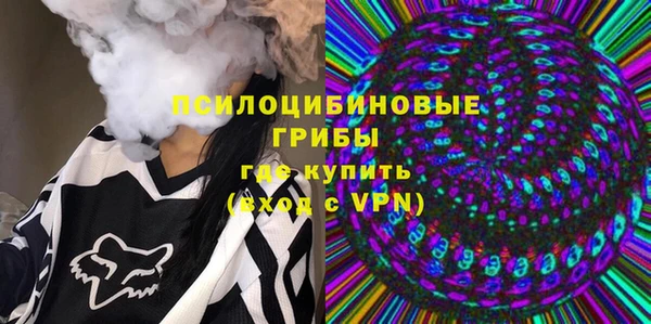 гашик Вязьма