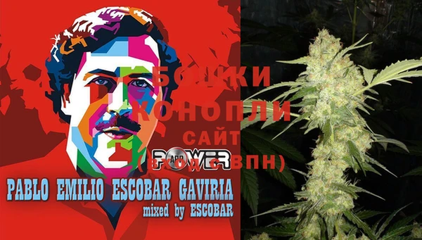 гашик Вязьма