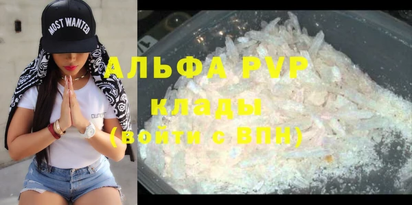 гашик Вязьма