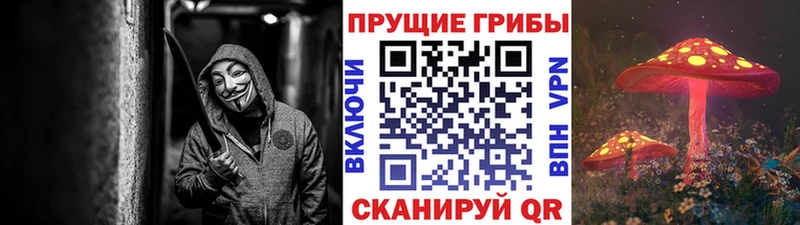 Галлюциногенные грибы ЛСД  цена наркотик  Каменногорск 