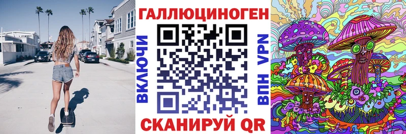 Галлюциногенные грибы Psilocybe Каменногорск